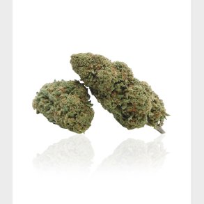 CBD-Spitzentriebe / CBD-Blüten