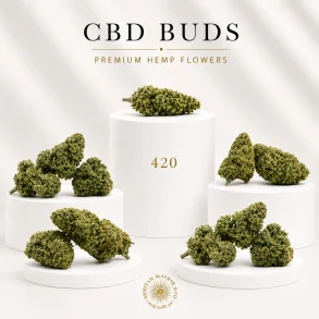 (6) CBD Buds