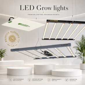 LED Lys