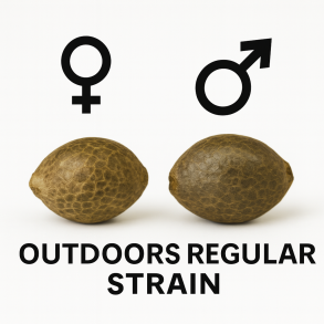 Outdoor male and female seeds