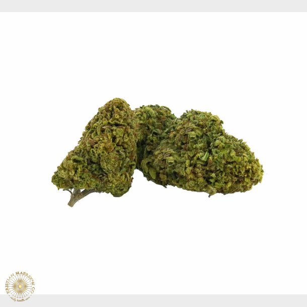 Amnesia Haze CBD blomst 8% 5 gram