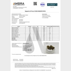 Amnesia Haze CBD blomst 8% 10 gram