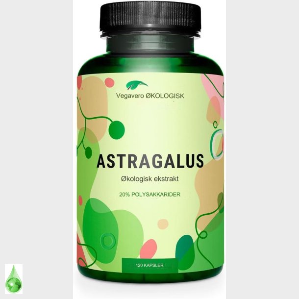 BIO Astragalus kapsler hjt doseret | PREMIUM: 11,250 mg Astragalus pulver fremstillet af 750 mg ko