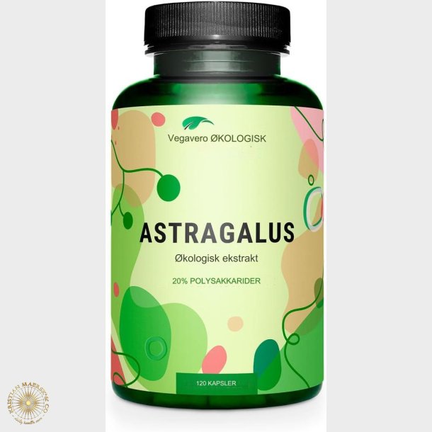 BIO Astragalus kapsler hjt doseret | PREMIUM: 11,250 mg Astragalus pulver fremstillet af 750 mg ko