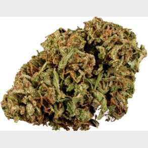 Blue Berry CBD Blomst 8% 5 gram