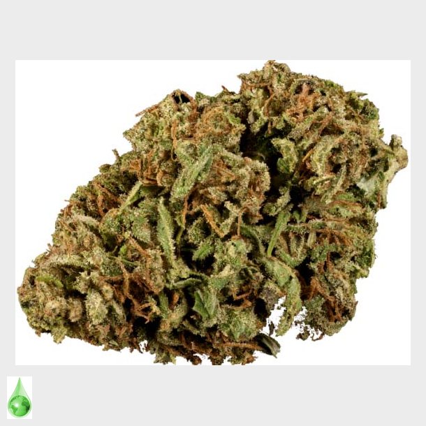 Blue Berry CBD Blomst 8% 5 gram