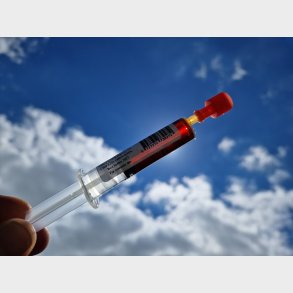 CBD 64,5%, CBDV 9,7%, THCV 2,3% 5-6   ml+ - Fuld spektrum CO2 Udvundet