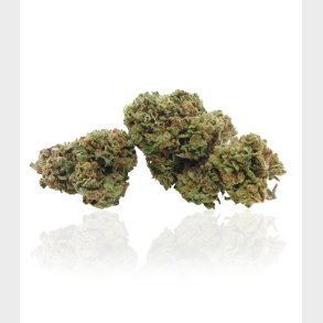 Critical Kush CBD blomst 5 gram