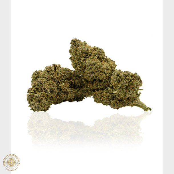 Gelato CBD blomst 5 gram