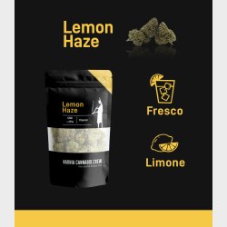 Lemon Haze CBD flower 5 g