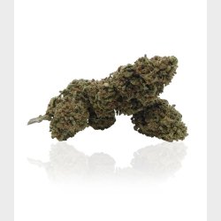 Pink Flamingo CBD + CBDA 5g.