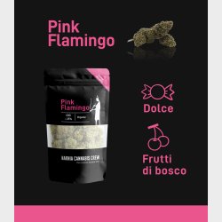 Pink Flamingo CBD + CBDA 5g.