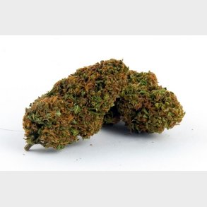 Cookies Chees 9% CBD 5 gram