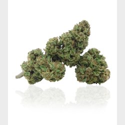 FJack Herer Flower 5 grams