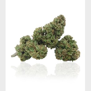 FJack Herer Flower 5 grams