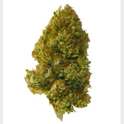 Juicy Fruit CBD Flower 8% 5 gram