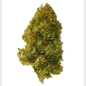 Juicy Fruit CBD Blomst 8% 5 gram