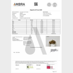 Little Rolls - OG KUSH 4.5% 5 g.