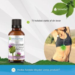 Mjlktistel tinktur, ENDAST 2 x 35 DROPS per daglig dos