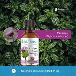 Mjlktistel tinktur, ENDAST 2 x 35 DROPS per daglig dos