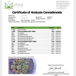 New York Diesel 25g. Frn frra rets skrd