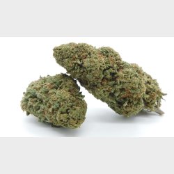 REAL CHERRY BERRY CBD 10 G