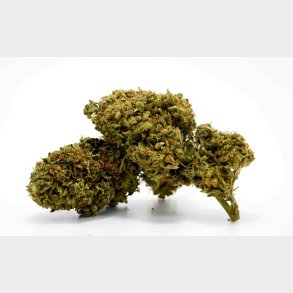 Moon Cake CBDA 11% - 5 g.