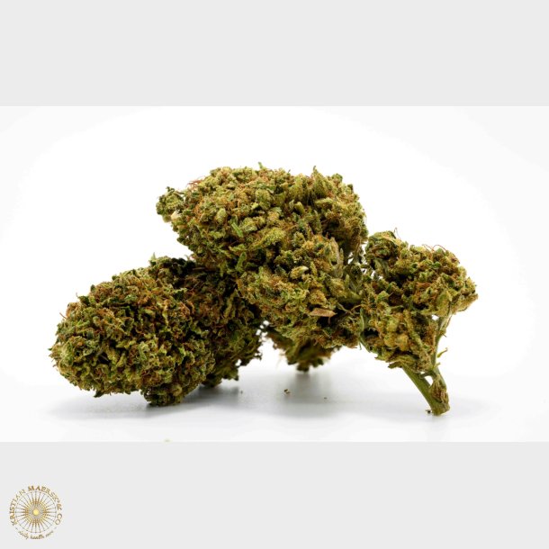 Moon Cake CBDA 11% - 5 gram