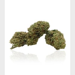 White Widow Flower 5 grams